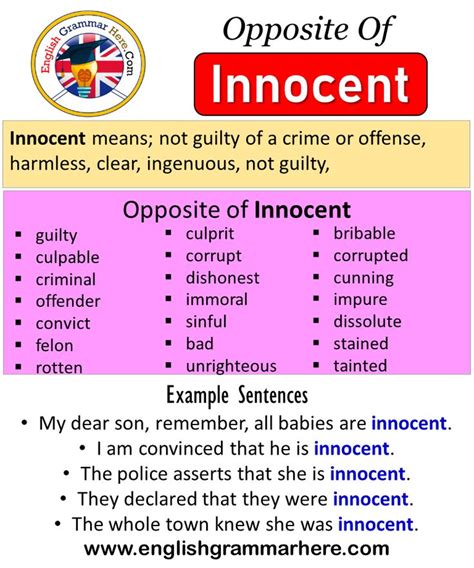 antonyms for innocent|innocent mean.